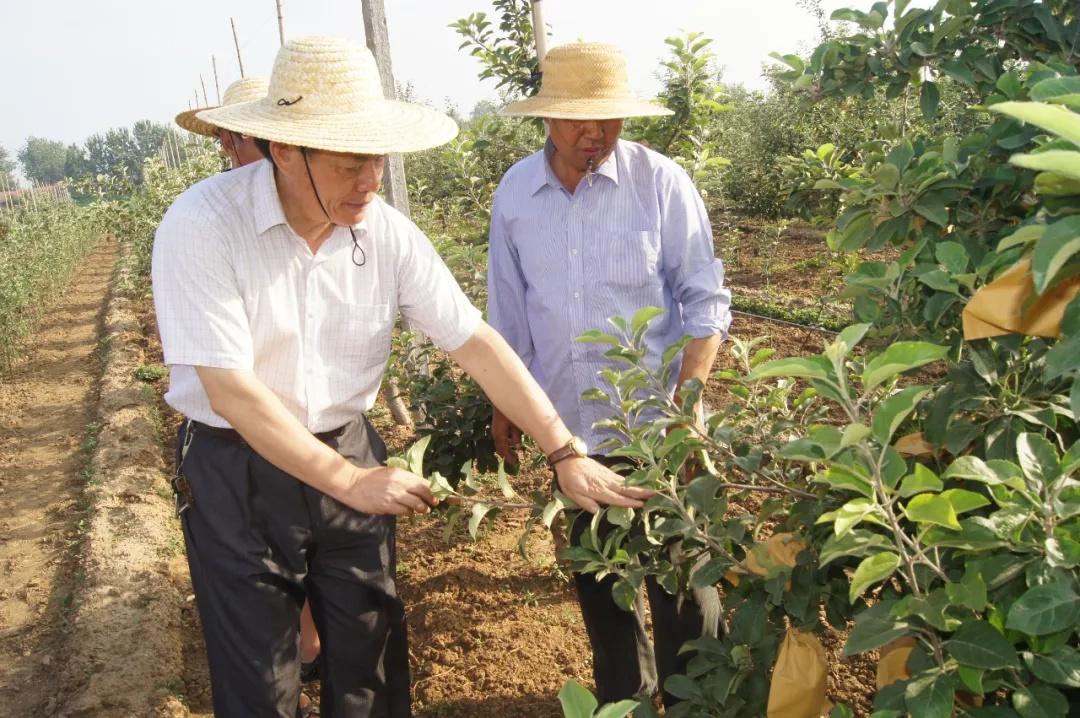 东明县科技局最新项目希望深度剖析与探索