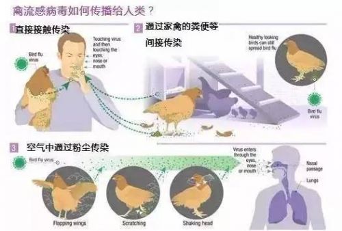 2025年2月 第274页