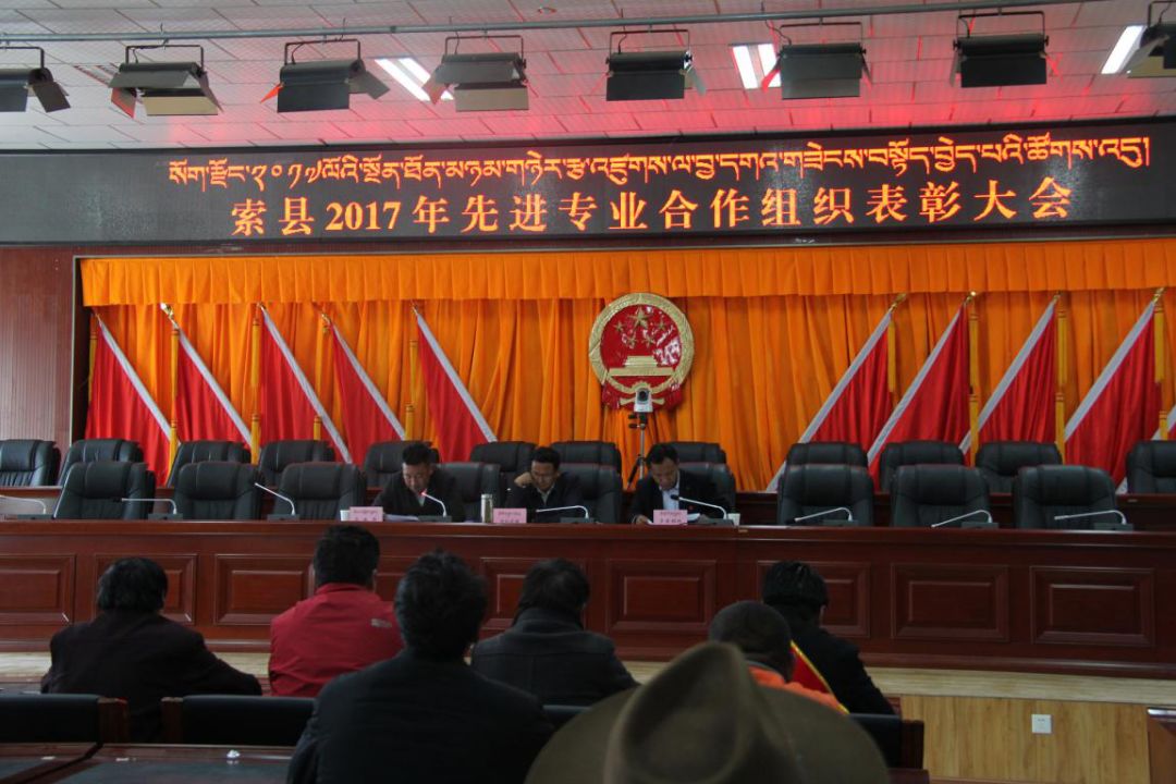 索县教育局人事大调解，重塑教育名堂，引领未来之光的新篇章