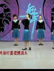 杨艺最新广场舞风潮，舞动魅力的闪灼