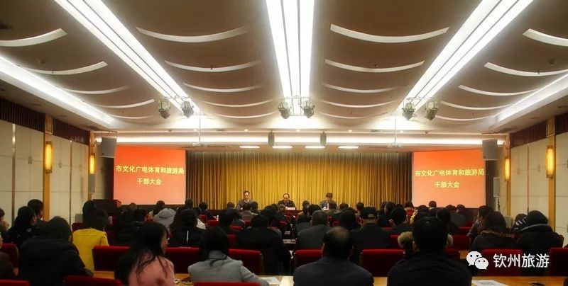 崇明县文化广电体育和旅游局最新向导团队及展望，未来展望与向导实力重塑
