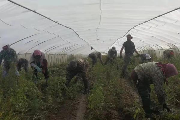 2025年2月 第233页