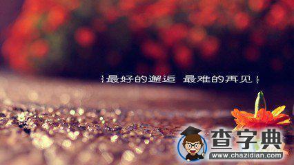 2015年回首与前瞻，最新动态及展望