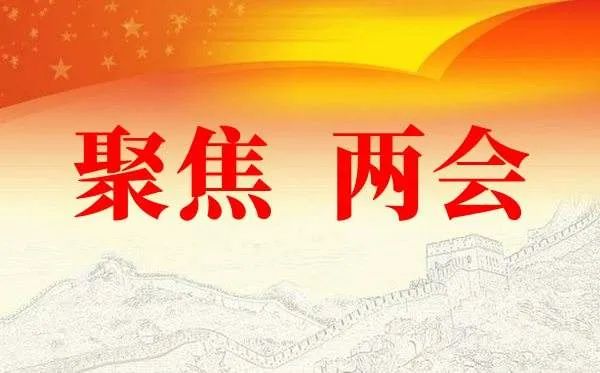 两会最新动态，推动社会前进与生长的程序加速