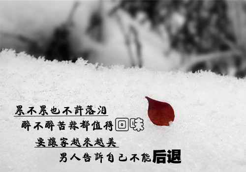 最新励志歌曲点燃激情，照亮人生之路