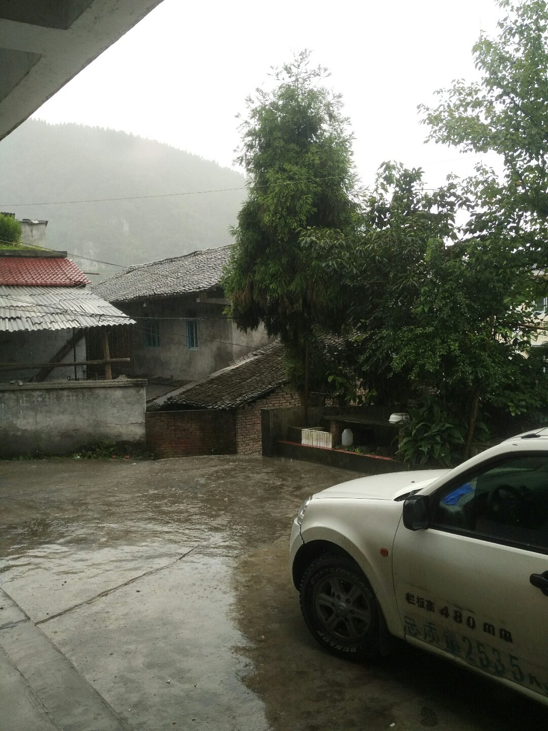 妙镇最新天气预告及其对生涯与出行的影响