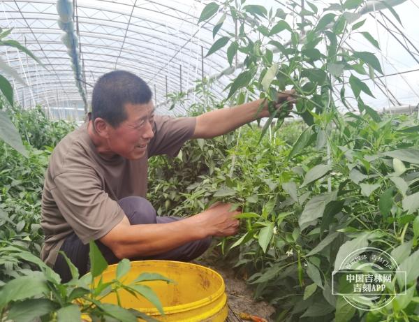 临江村委会最新动态与新闻报道更新