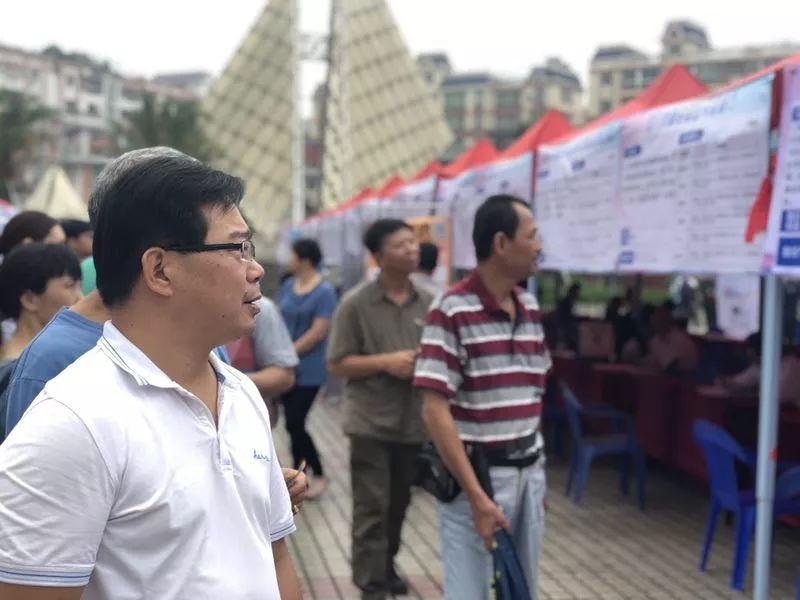 新会最新招聘信息揭秘，职场新机缘探寻