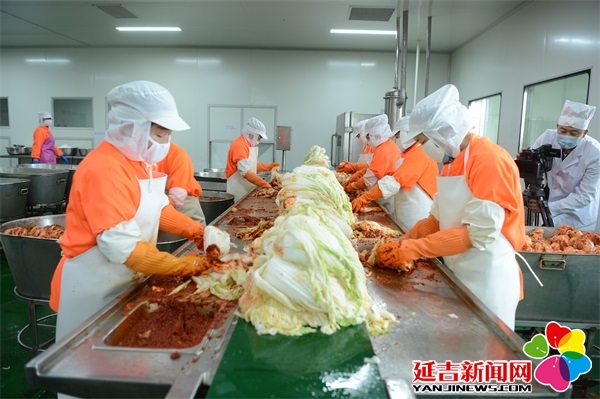 食物厂最新立异食物，质量交汇点，展望未来生长之路