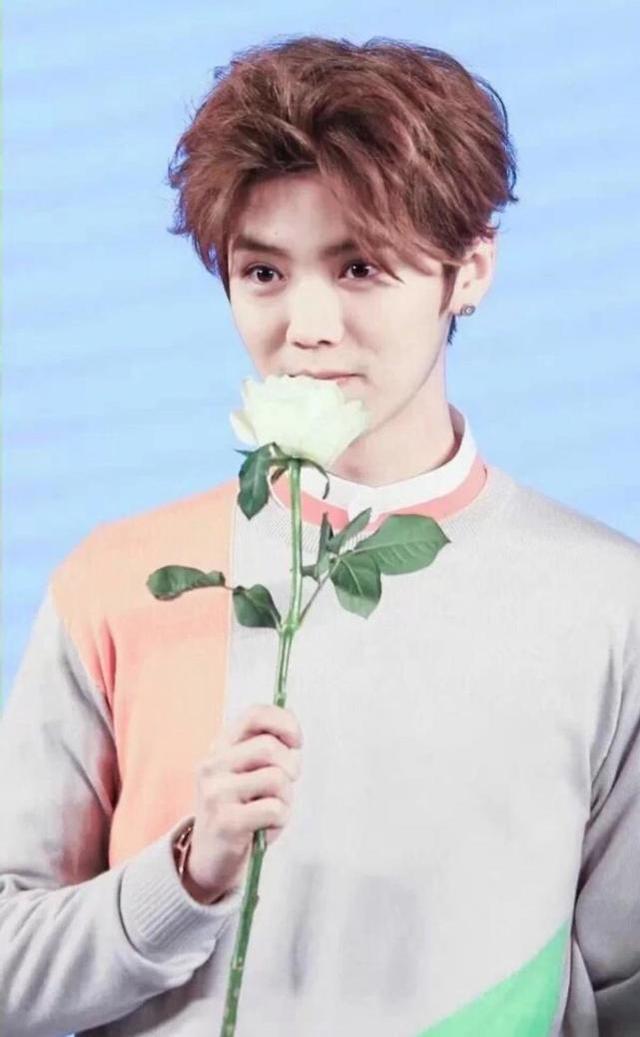最新热巴鹿晗，娱乐圈的璀璨新星闪灼光线