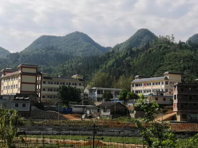 正云村最新项目，引领墟落生长的新时代实力启航记