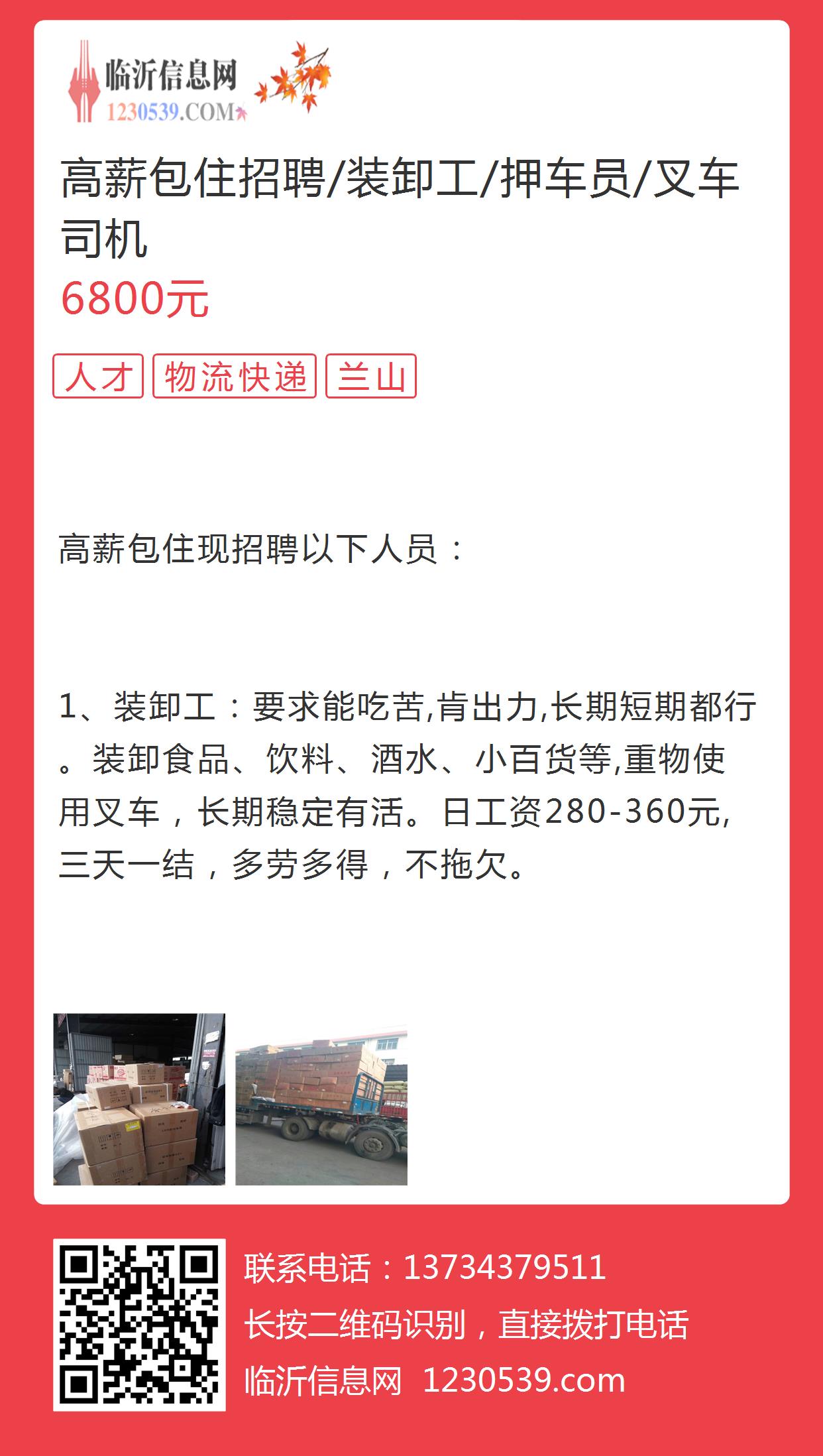 青岛最新司机招聘，探索职业生长的理想选择，开启驾驶人生新篇章