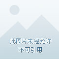 最新同床异梦，现代都会情绪逆境的深度探讨