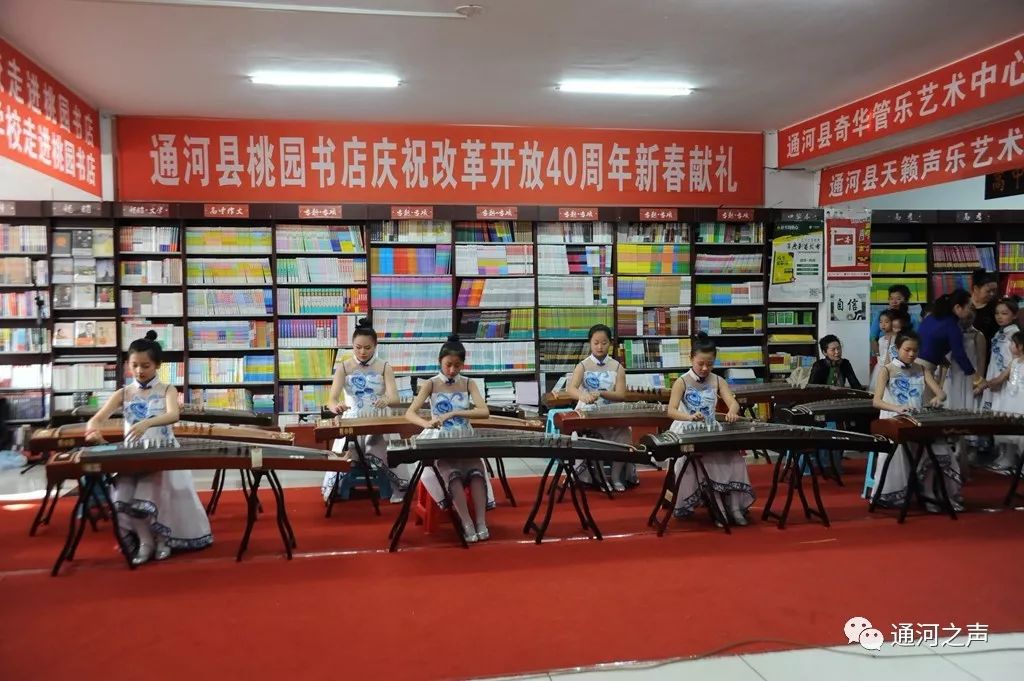 通河县图书馆最新生长妄想，构建知识社会的新篇章