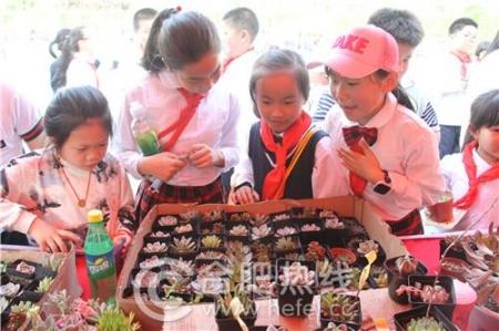 皮山县小学最新生长妄想揭秘，迈向未来的教育蓝图