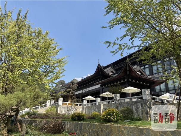 平远县市场监视治理局最新战略妄想与生长妄想纲要