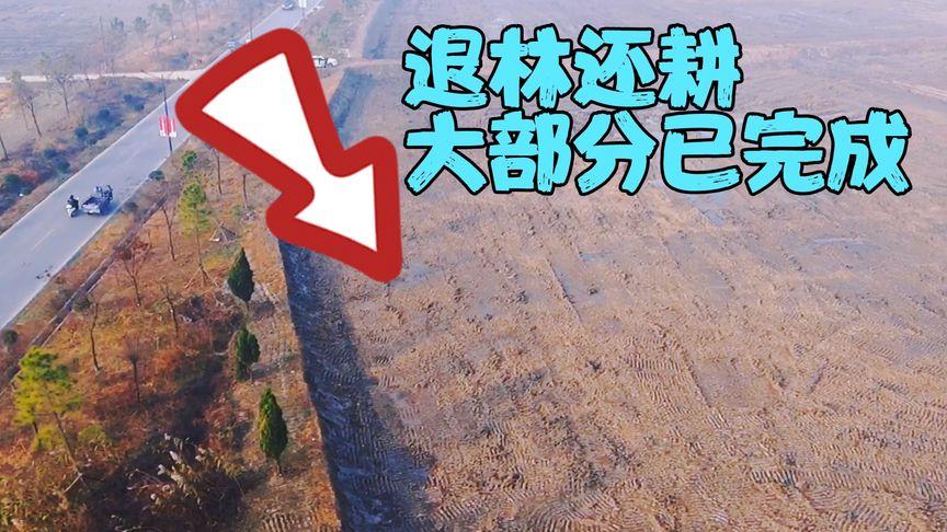超生最新政策调解，重塑生齿政接应对新时代挑战