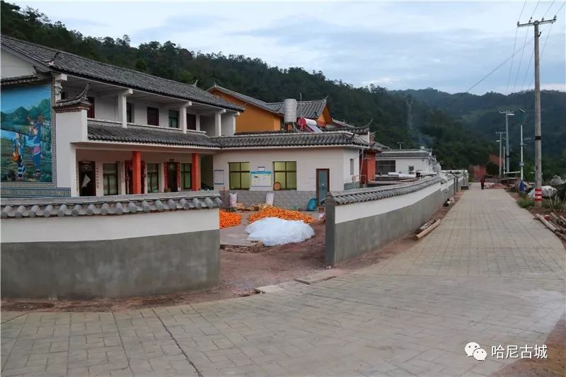 镇沅彝族哈尼族拉祜自治县殡葬事业单位最新项目动态，实践与探索