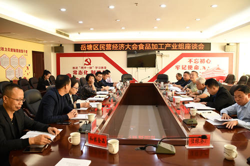 岳塘区审计局最新战略妄想揭秘，未来生长妄想概览