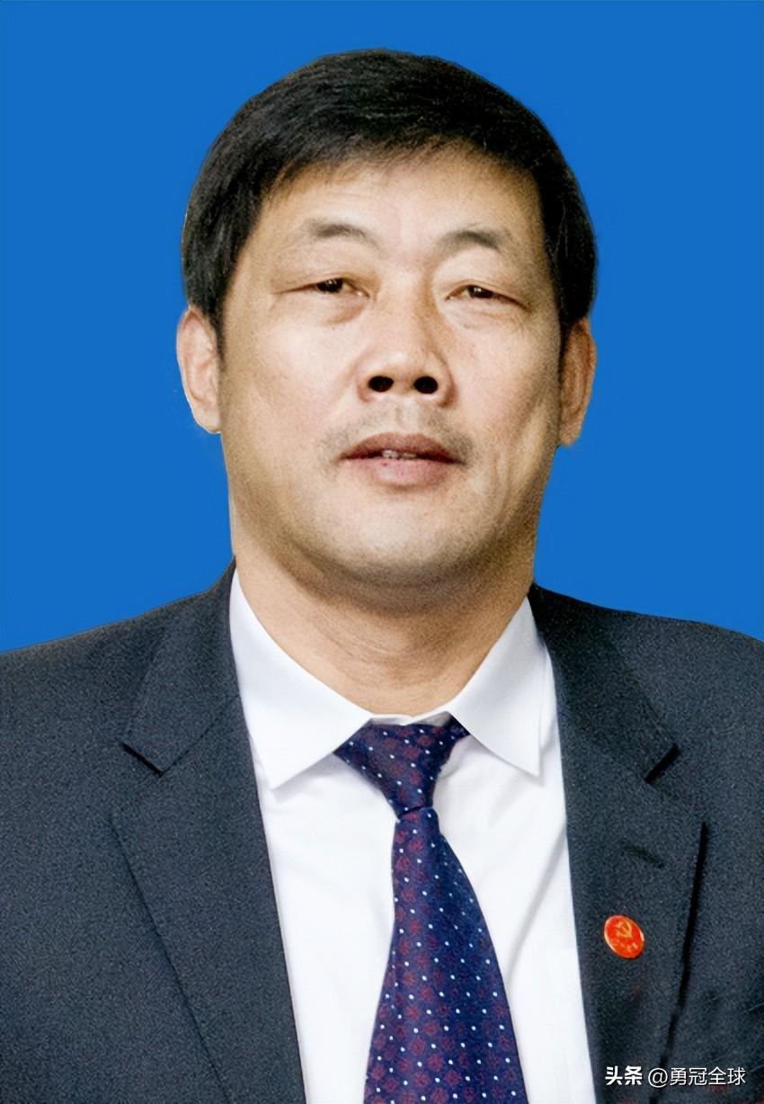 沈阳市林业局最新战略妄想揭秘，绿色生态都会建设与生长路径
