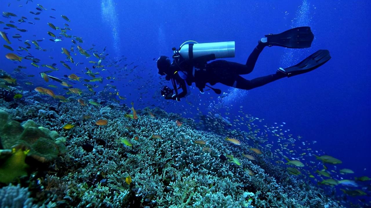 南海美济礁最新动态，中国坚定态度与起劲行动的展现