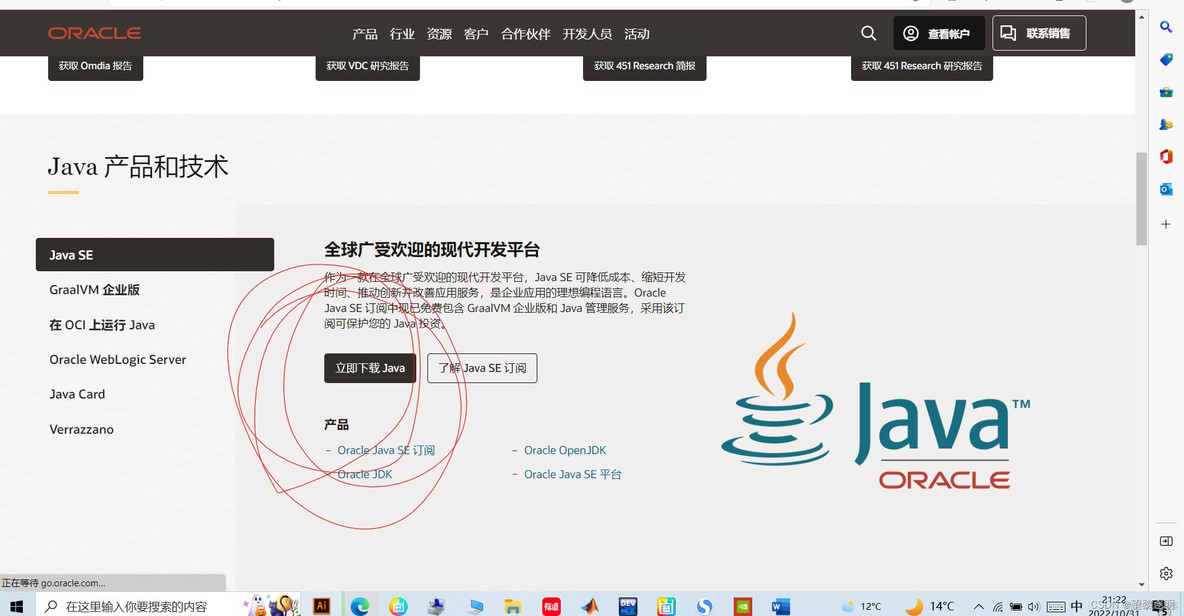 Java最新下载探索，Java天下的无限魅力