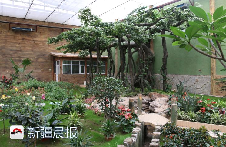 哈密地区市新闻出书局人事大调解，重塑未来出书业向导团队