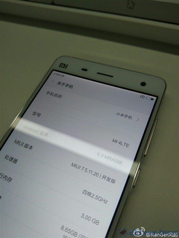 丛生朴树 第26页