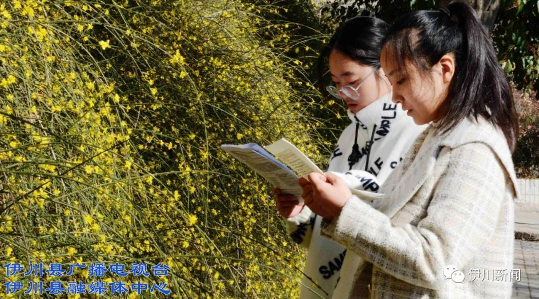 伊川最新招聘信息及动态更新