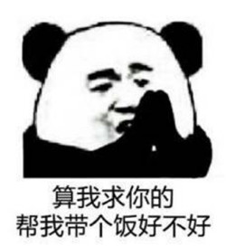 丛生朴树 第23页