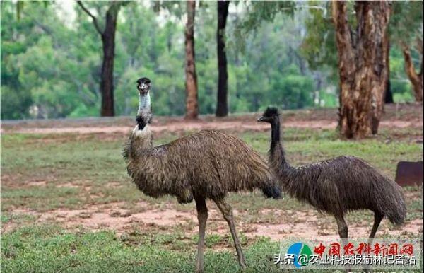 古塔区人民政府办公室新任向导团队，引领未来生长的崭新实力