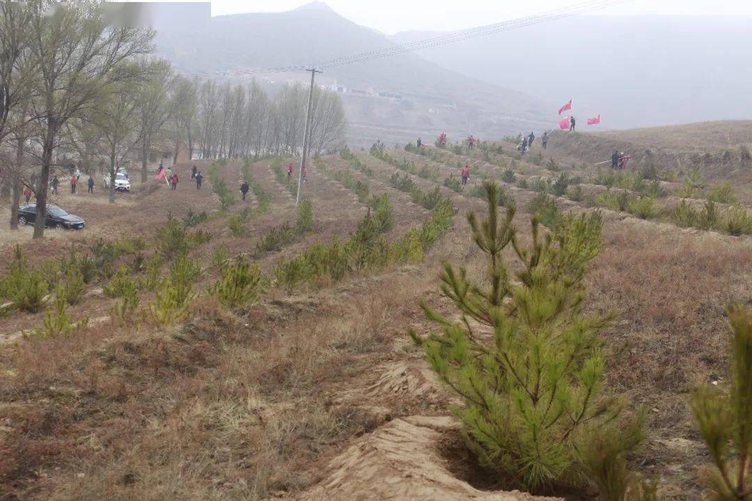 罗山水乡最新项目，引领墟落生长的崭新篇章启动！