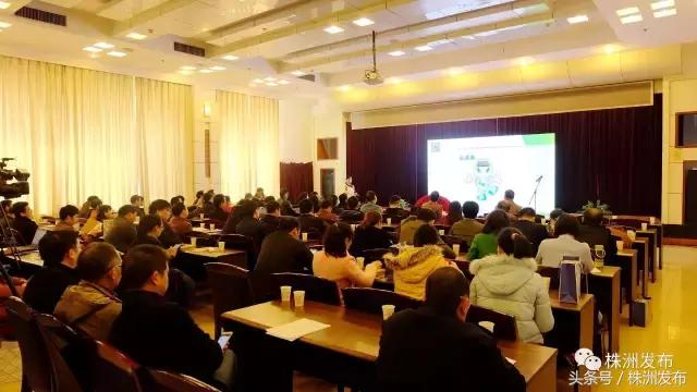 石峰区数据和政务效劳局最新向导团队概况