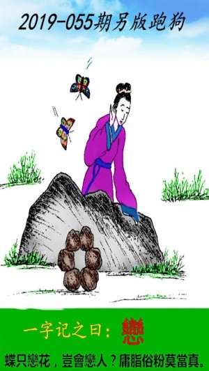 最新跑狗网，引领数字娱乐新时代，探索前沿科技