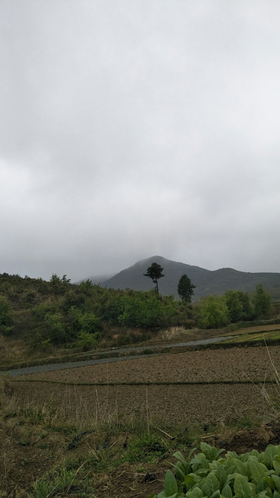 坡洼村民委员会最新天气预告更新通知