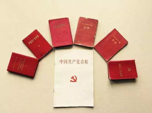 最新党章，指引偏向，凝聚实力