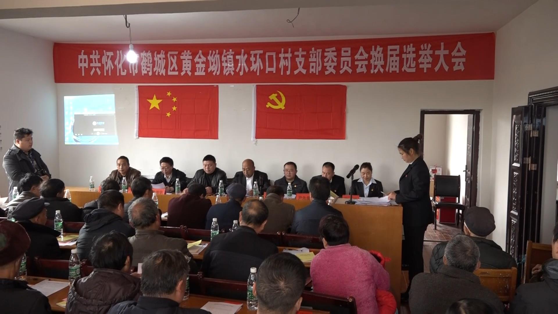 鹤城区妄想生育委员会最新项目动态及希望