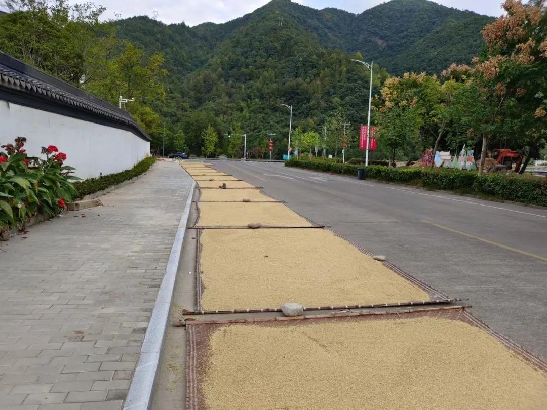 宁溪镇交通新闻更新，现代化交通系统建想程序加速