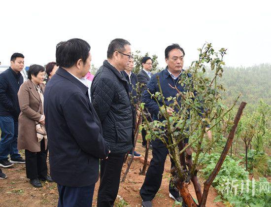 仁和区应急治理局宣布最新生长妄想
