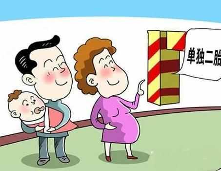 最新二胎铺开政策新闻，影响及远景展望