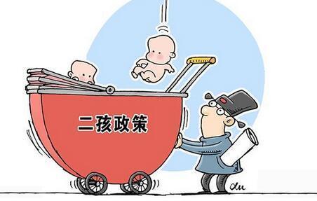 最新超生政策深度解读与剖析