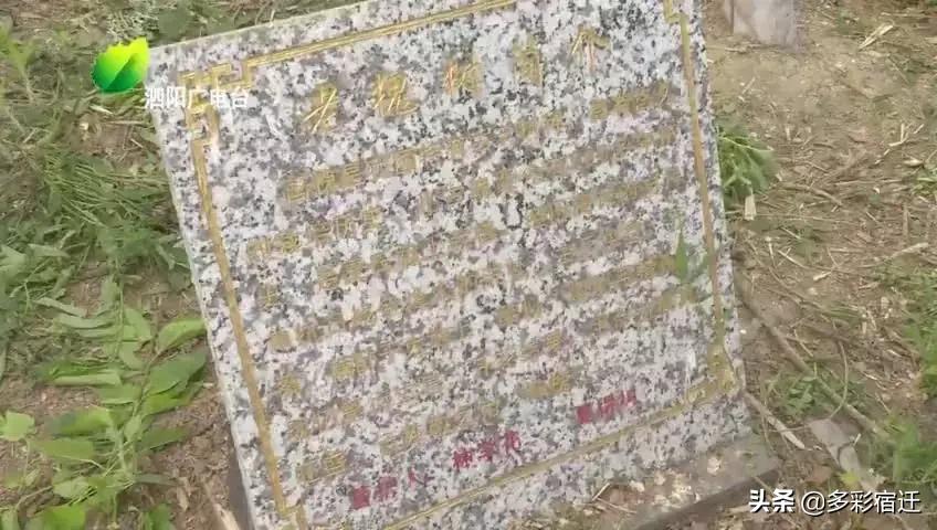 宿迁市林业局人事大调解，推动绿色生长的实力重组