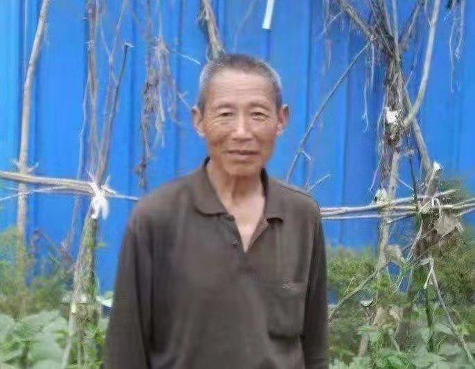 李村最新生长报告，展现最新动态与成绩