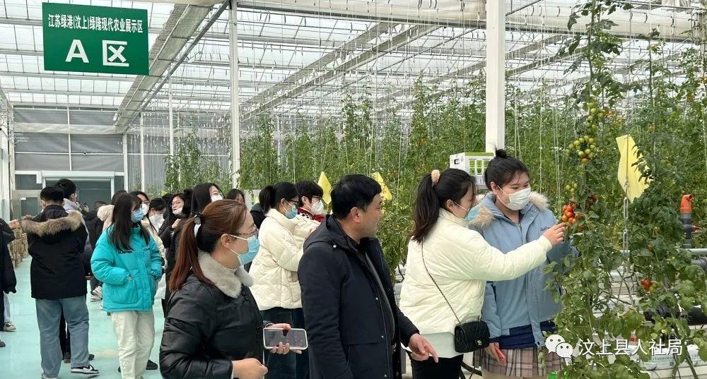 汶上最新招聘启幕，携手人才热土，共创优美未来