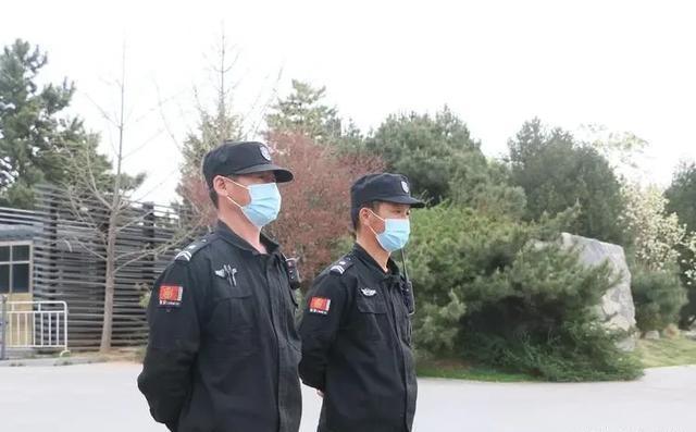 深圳最新保安招聘，职业远景、要求与机缘详解