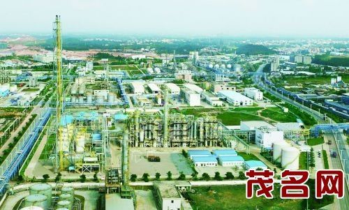 离石区生长和刷新局最新项目动态揭秘