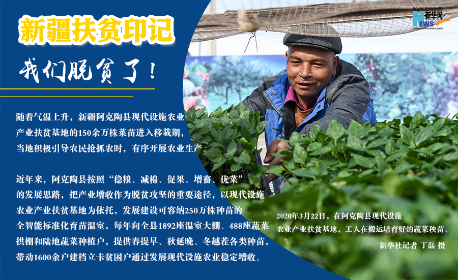 最新扶贫行动重塑贫困地区希望之光