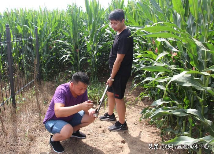 李千户乡最新天气预告通知