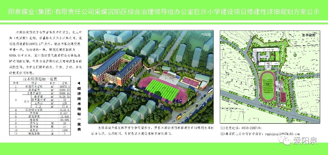 苗木 第5页