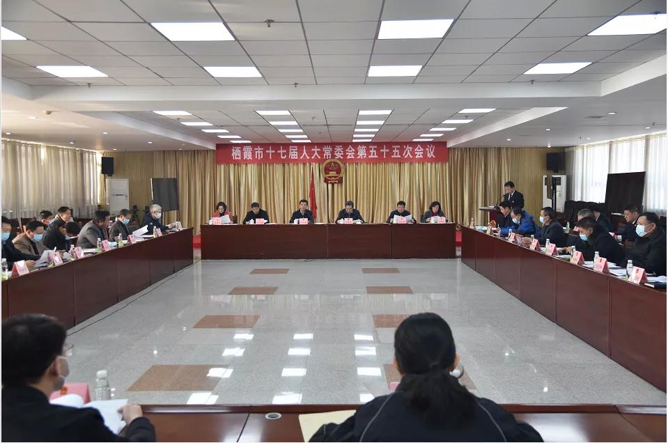 栖霞区人民政府办公室人事大调解，构建未来生长新篇章